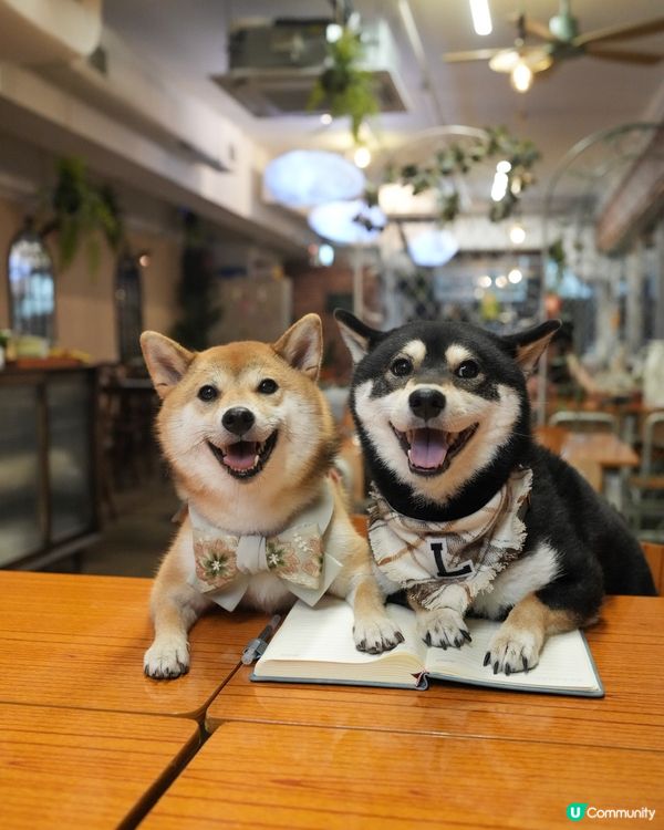 明天就係七夕啦～大家諗好同另一半去邊未💜？