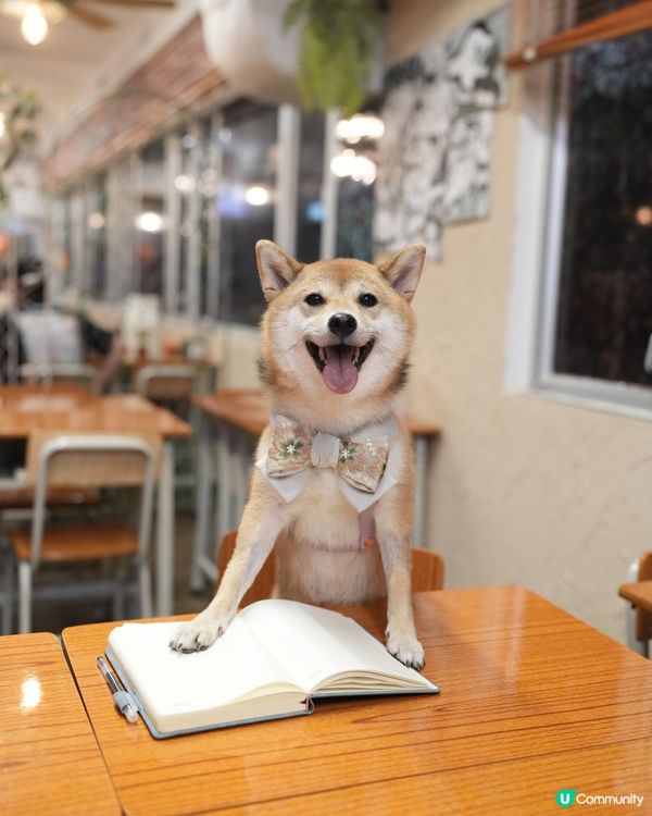 明天就係七夕啦～大家諗好同另一半去邊未💜？