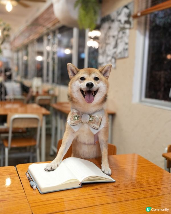 明天就係七夕啦～大家諗好同另一半去邊未💜？