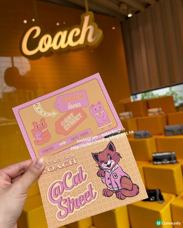 貓街 Coach集印換 PostCard再去cafe嘆☕️食🍩