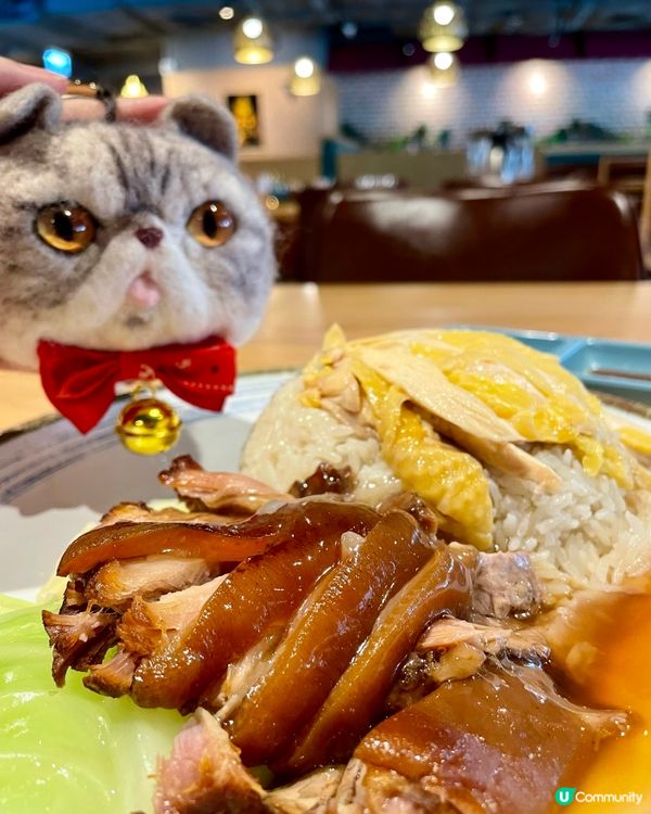 觀塘泰國菜 雙拼飯 只係$52