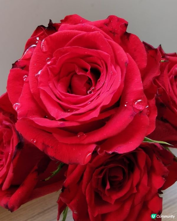 Anniversary must buy item