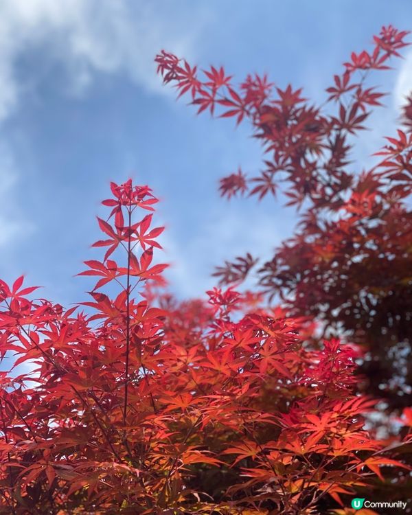 《打卡世外桃源》雲南沙溪古鎮