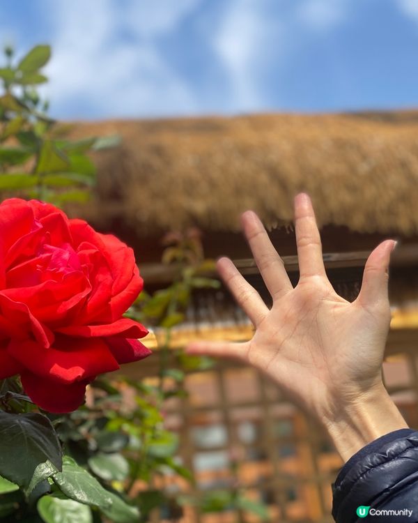 《打卡世外桃源》雲南沙溪古鎮