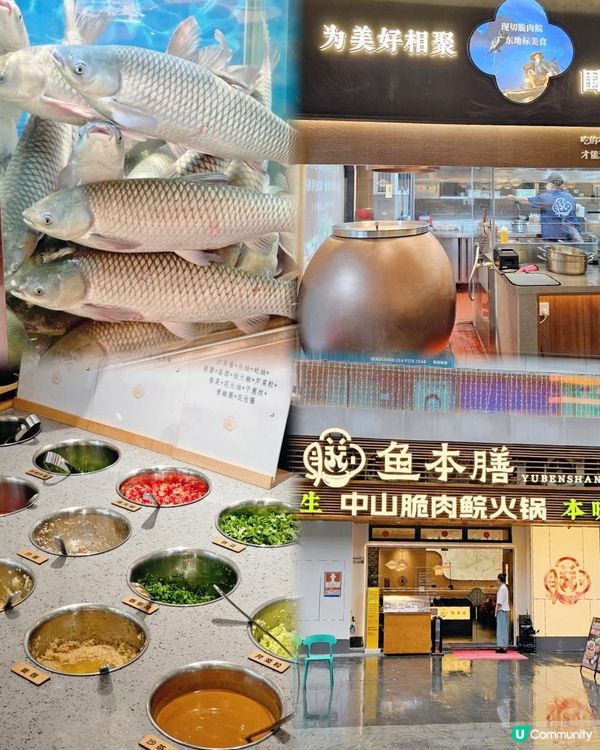 📍深圳必吃～ 香脆肉嫩。魚本膳中山脆肉皖火鍋啫啫煲