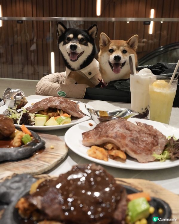 可以帶狗狗一齊去嘅鐵板牛扒🥩