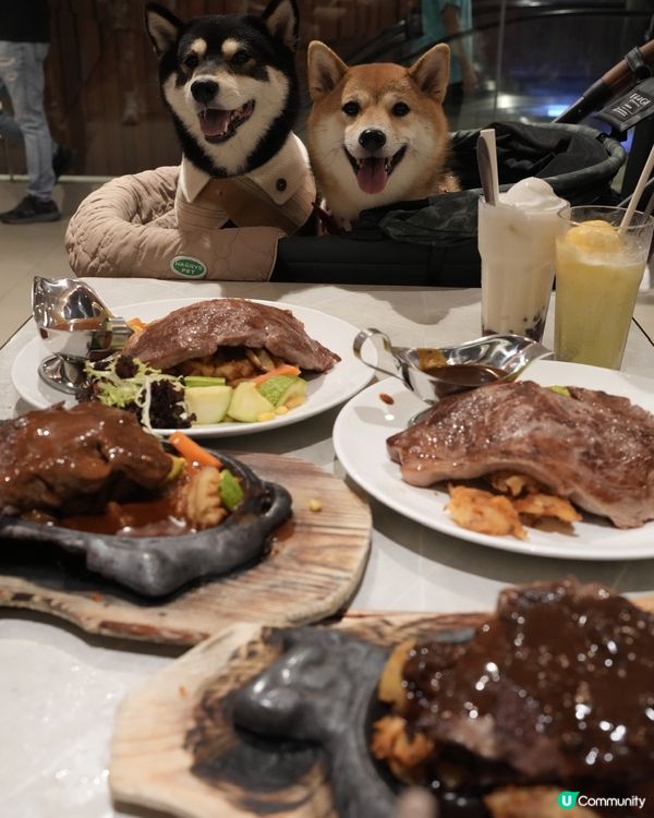 可以帶狗狗一齊去嘅鐵板牛扒🥩