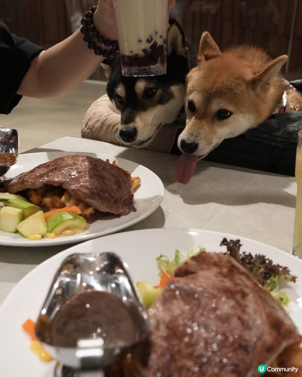 可以帶狗狗一齊去嘅鐵板牛扒🥩