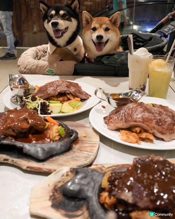 帶狗狗一齊去鋸扒🥩