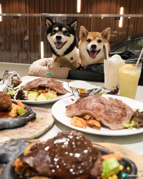 帶狗狗一齊去鋸扒🥩