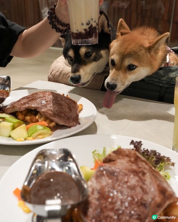 帶狗狗一齊去鋸扒🥩