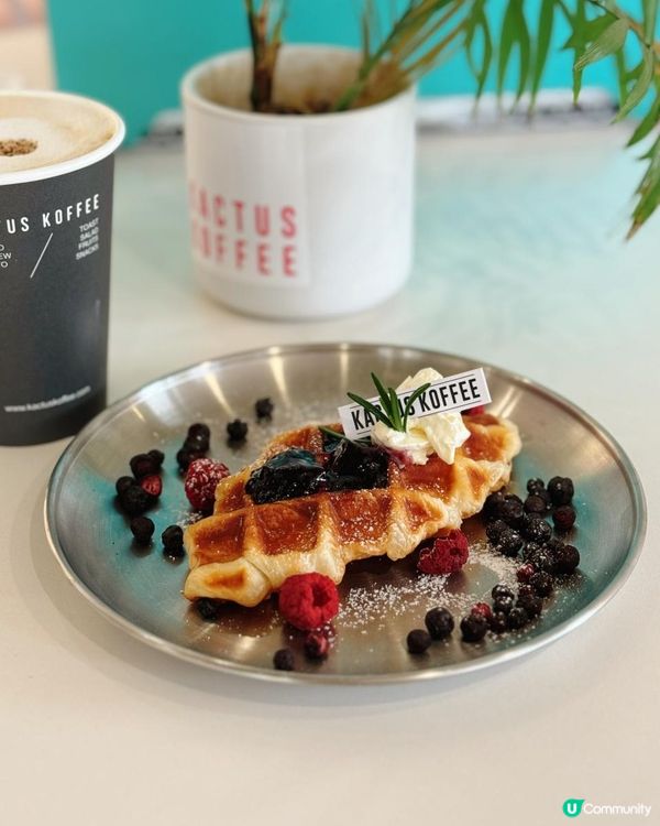 📌 佐敦│Kactus Koffee│秒到韓國品嚐咖啡