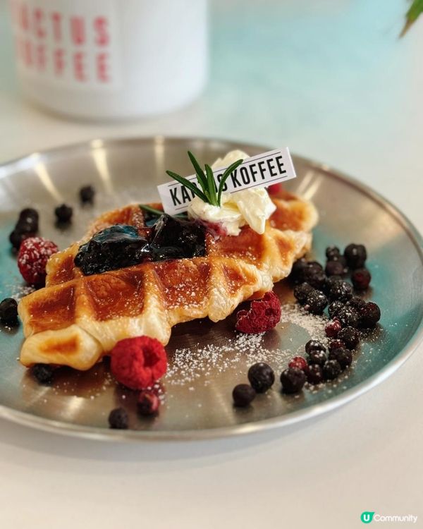 📌 佐敦│Kactus Koffee│秒到韓國品嚐咖啡