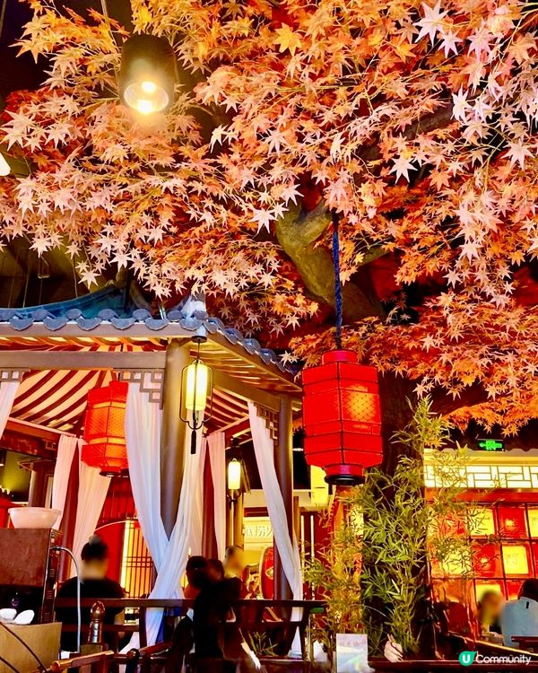 ✨深圳🇨🇳-⚠️💬陝西菜的葫蘆雞是什麼💢⁉️🌸🚸打卡餐廳❓😏📣