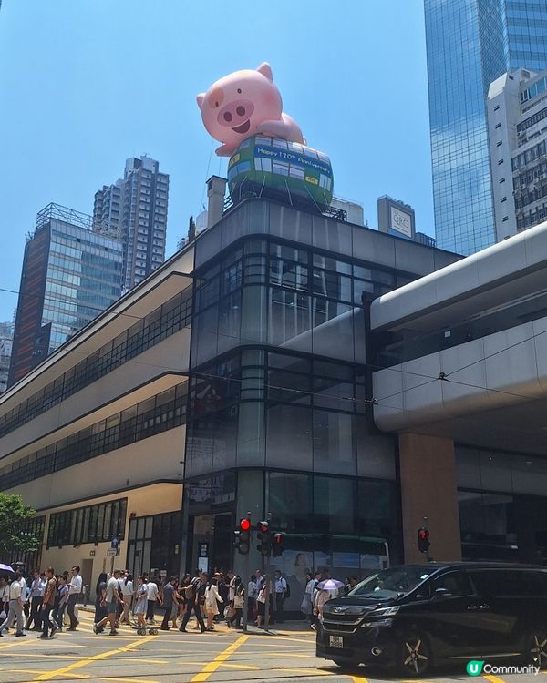 中環街市打卡新地標🤩 大麥兜吹脹登場！