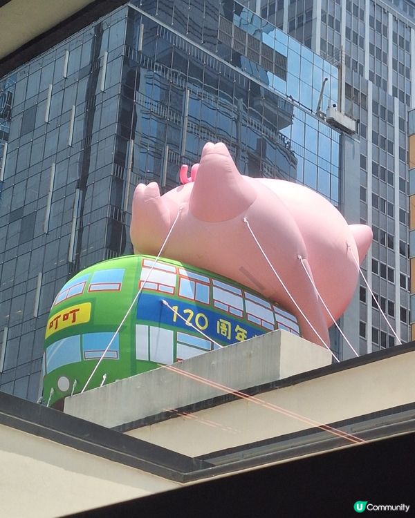 中環街市打卡新地標🤩 大麥兜吹脹登場！