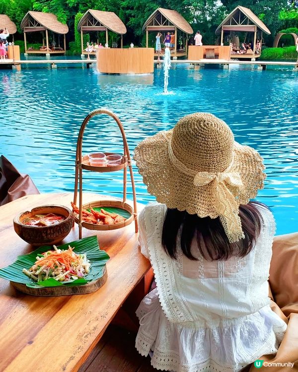 Bubble in the forest Café 🏖🛖