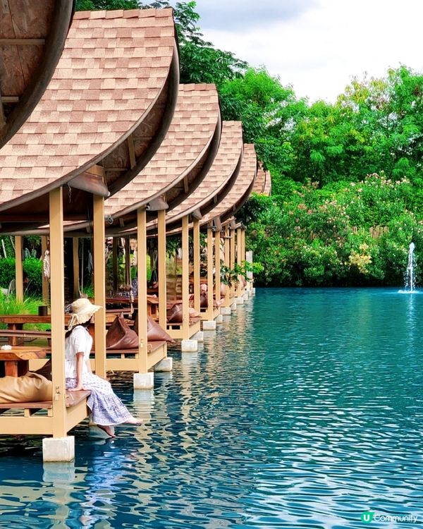 Bubble in the forest Café 🏖🛖