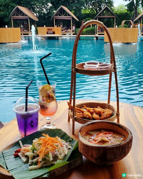 Bubble in the forest Café 🏖🛖