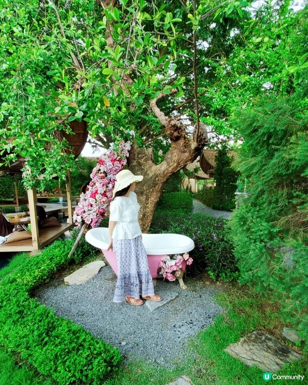 Bubble in the forest Café 🏖🛖