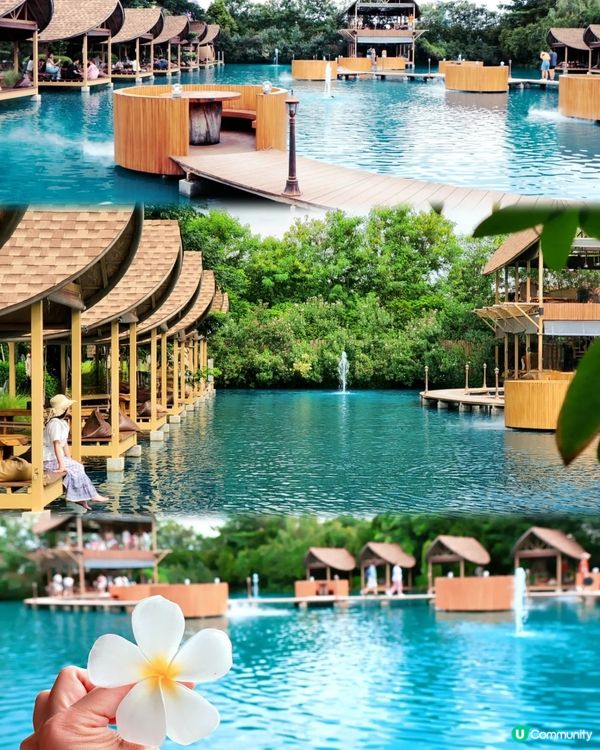 Bubble in the forest Café 🏖🛖