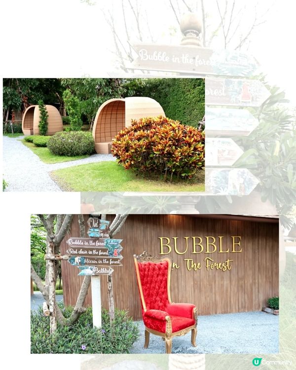 Bubble in the forest Café 🏖🛖