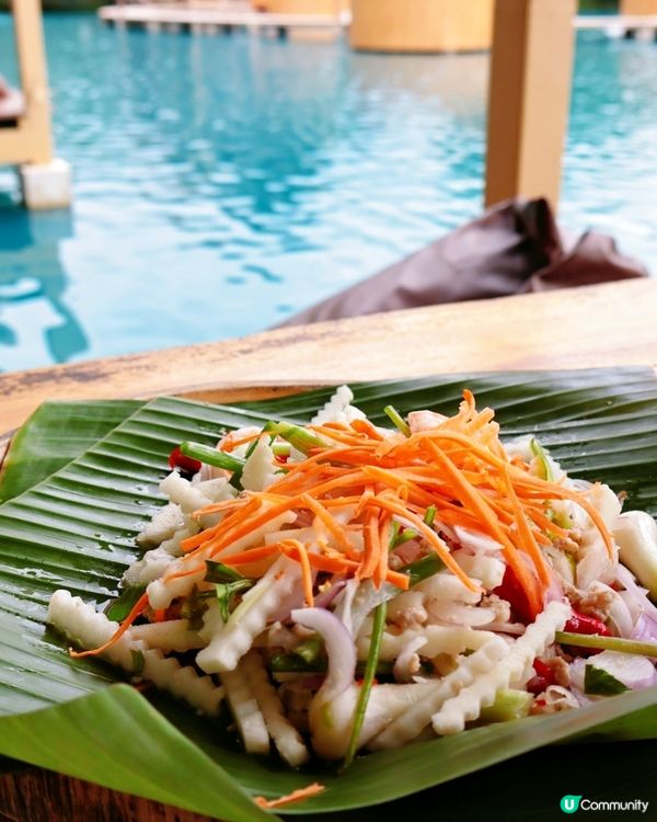 Bubble in the forest Café 🏖🛖