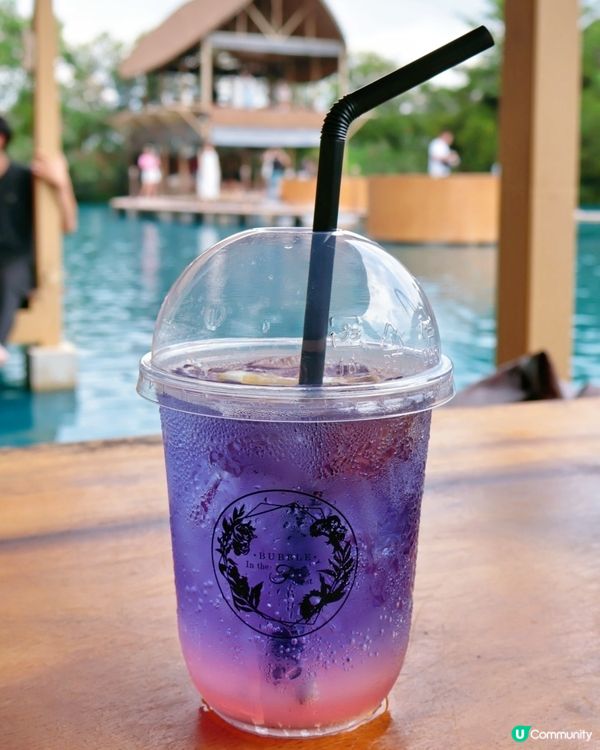 Bubble in the forest Café 🏖🛖