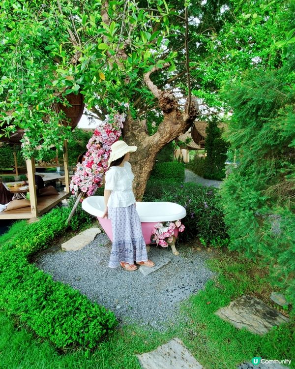 Bubble in the forest Café 🏖🛖