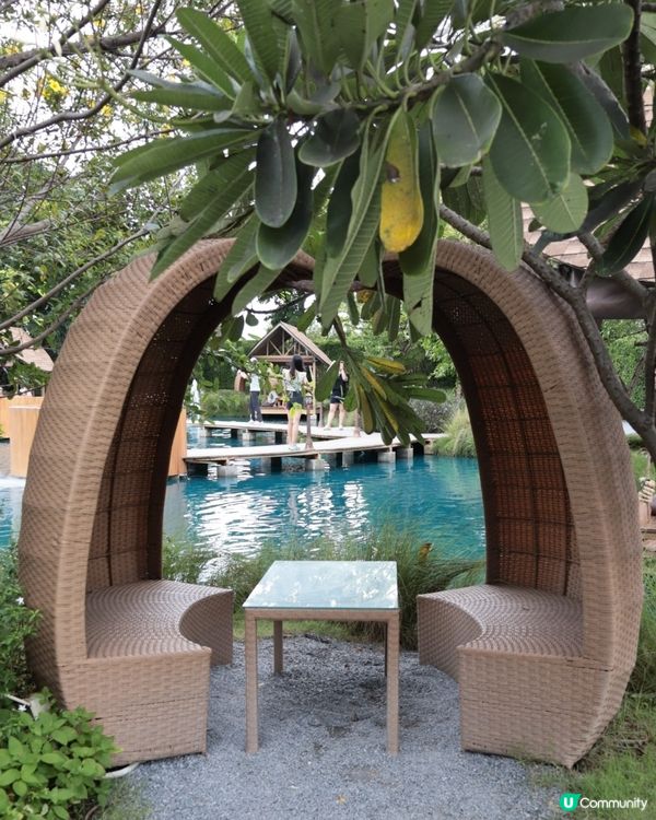 Bubble in the forest Café 🏖🛖