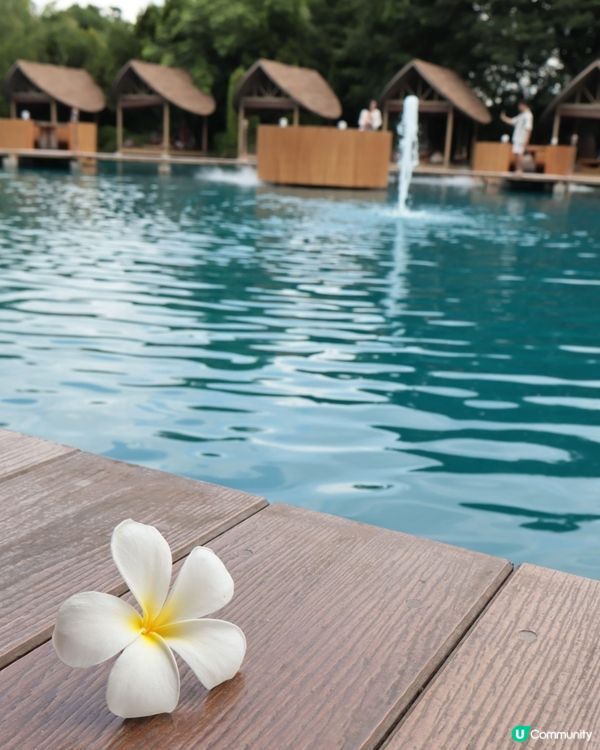 Bubble in the forest Café 🏖🛖