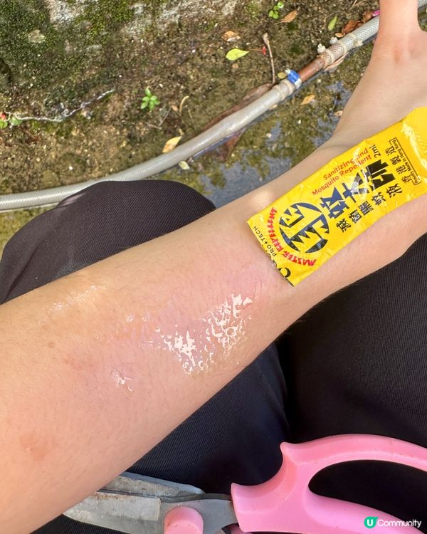 😚😚驅蚊大師救我命！🦟😭