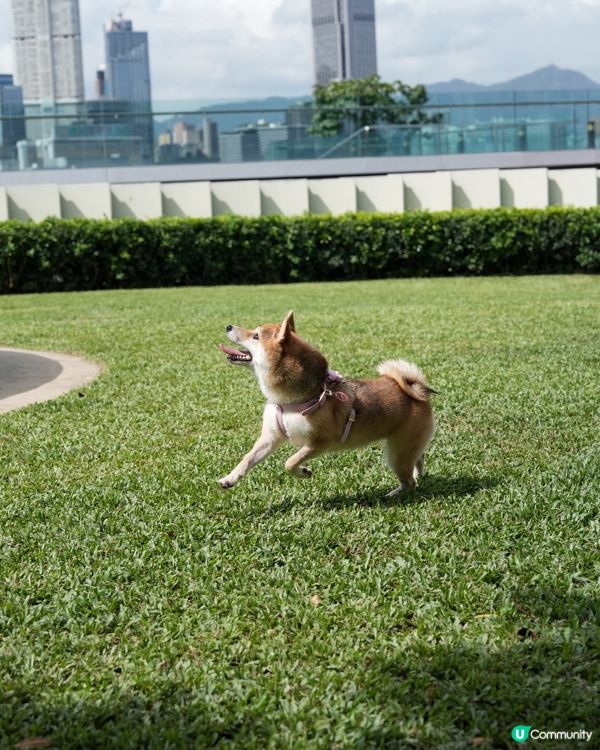 望住海旁跑草地