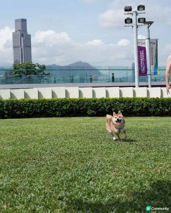 望住海旁跑草地