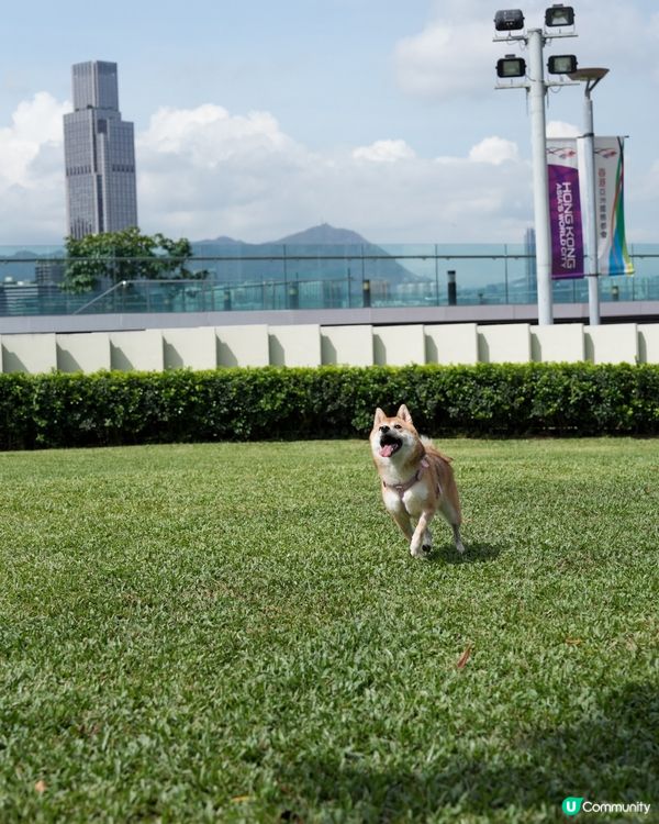 望住海旁跑草地