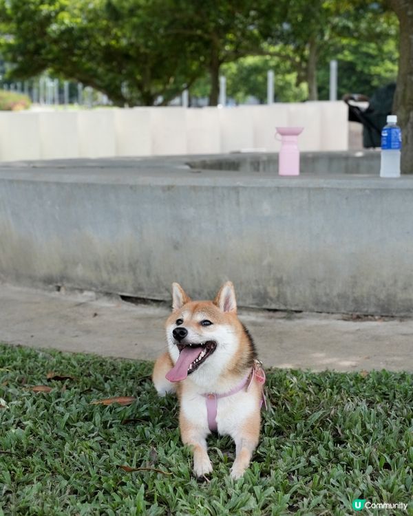 望住海旁跑草地
