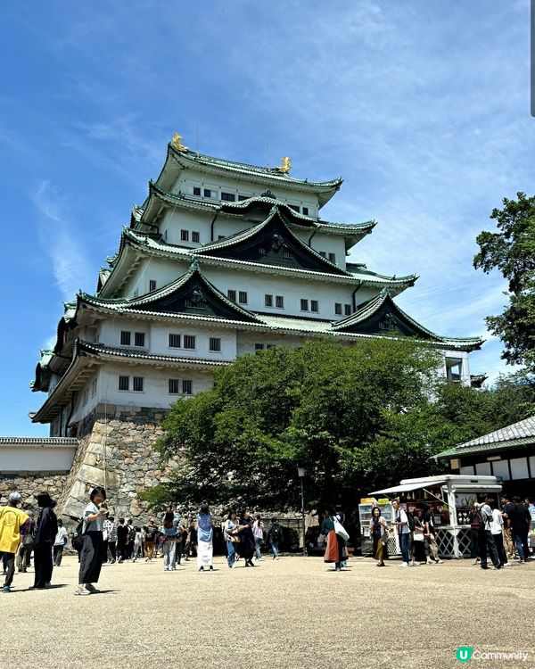 名古屋名物鰻魚飯