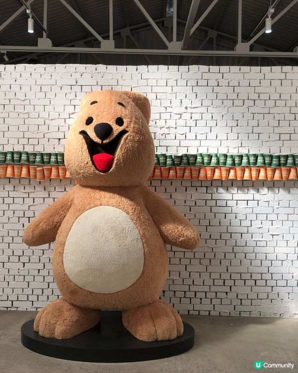 釜山可愛短尾矮袋鼠主題café