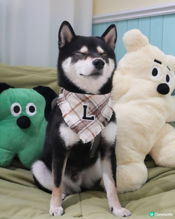 一齊打倒肉肉怪獸👹‼️