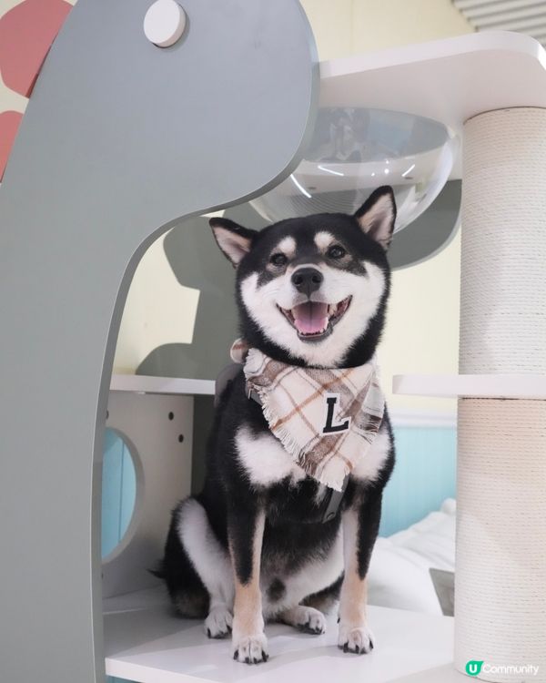 一齊打倒肉肉怪獸👹‼️