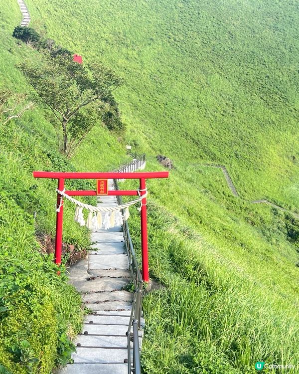 打卡必去 大室山攻略！