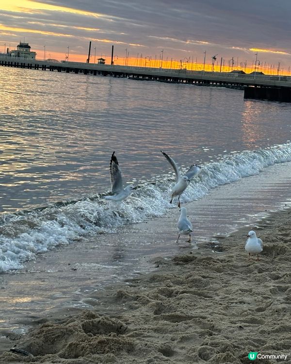 必去！！！墨爾本海灘餐廳睇日落