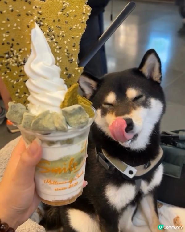 炎炎夏日🔥抵擋唔住一杯冰爽嘅雪糕‼️