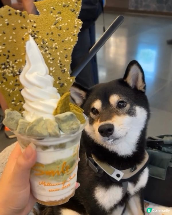 炎炎夏日🔥抵擋唔住一杯冰爽嘅雪糕‼️