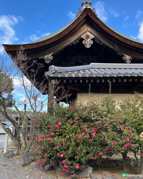 日本之旅～京都 第七日