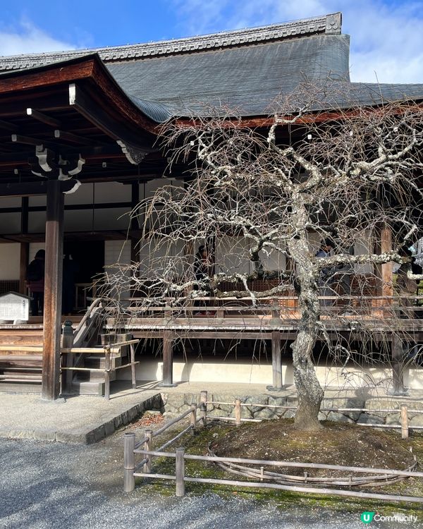 日本之旅～京都 第七日