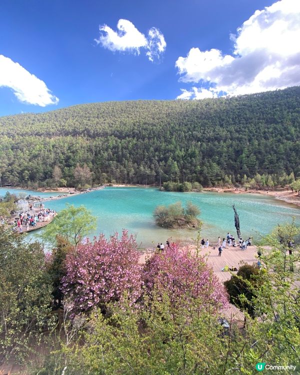 《絕美仙境》玉龍雪山🩵🩷藍月谷🏔️