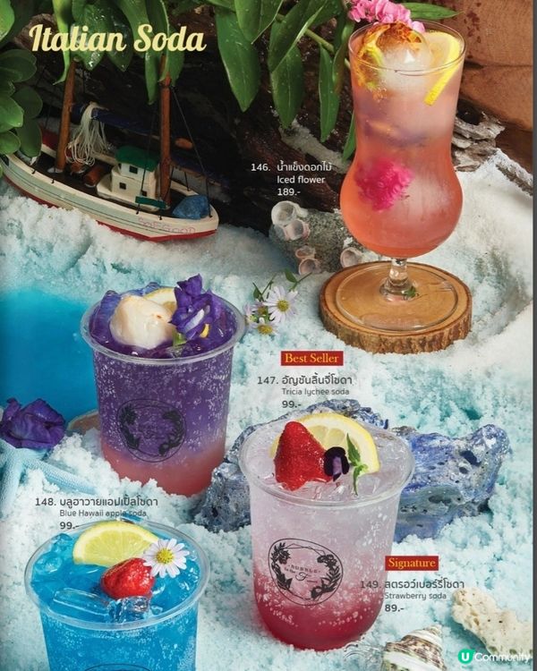 Bubble in the forest Café 🏖🛖