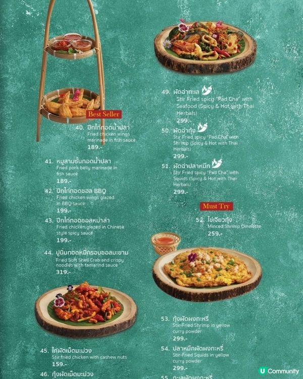 Bubble in the forest Café 🏖🛖