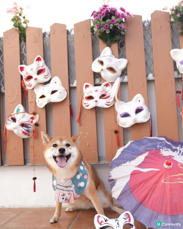 荃灣天台 日式打卡點🌟